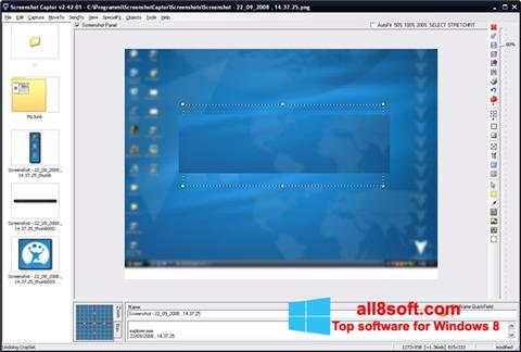સ્ક્રીનશૉટ ScreenShot Windows 8