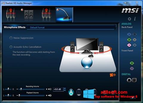 સ્ક્રીનશૉટ Realtek Audio Driver Windows 8