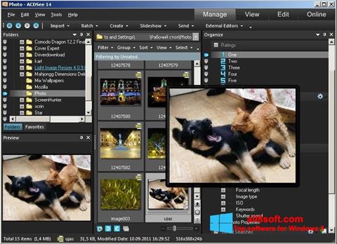 સ્ક્રીનશૉટ ACDSee Photo Manager Windows 8