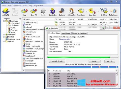 સ્ક્રીનશૉટ Internet Download Manager Windows 8