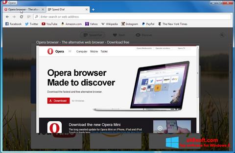 સ્ક્રીનશૉટ Opera Developer Windows 8