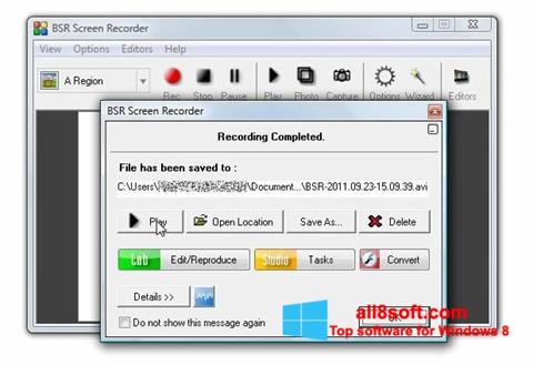 સ્ક્રીનશૉટ BSR Screen Recorder Windows 8