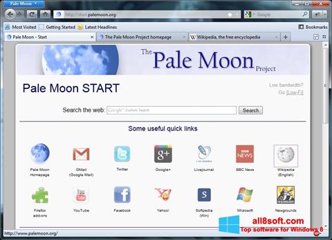 સ્ક્રીનશૉટ Pale Moon Windows 8