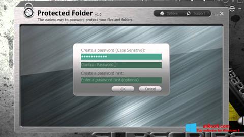 સ્ક્રીનશૉટ Protected Folder Windows 8