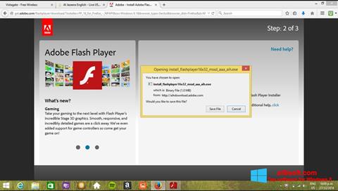 સ્ક્રીનશૉટ Adobe Flash Player Windows 8