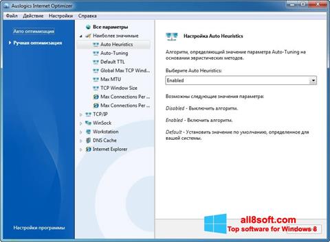 સ્ક્રીનશૉટ Auslogics Internet Optimizer Windows 8